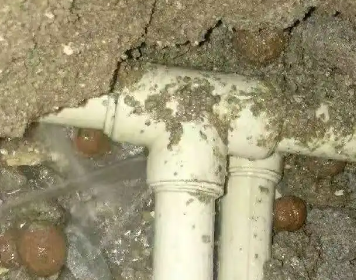 绥化市测漏水多少钱