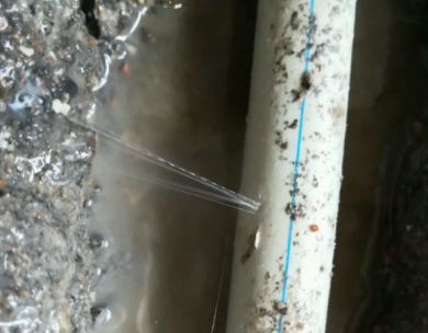 绥化市测漏水哪家好