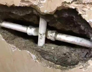 绥化市测漏水哪家好