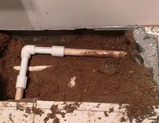 绥化市测漏水哪家好