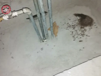 绥化市卫生间测漏水价格明细