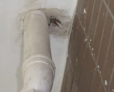 绥化市漏水检测哪家好